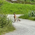 Brattoya Sjostuer Prázdninový dům